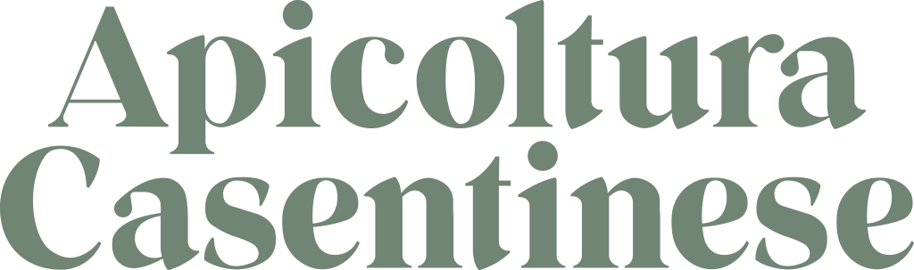 Logo Apicoltura Casentinese s.r.l.